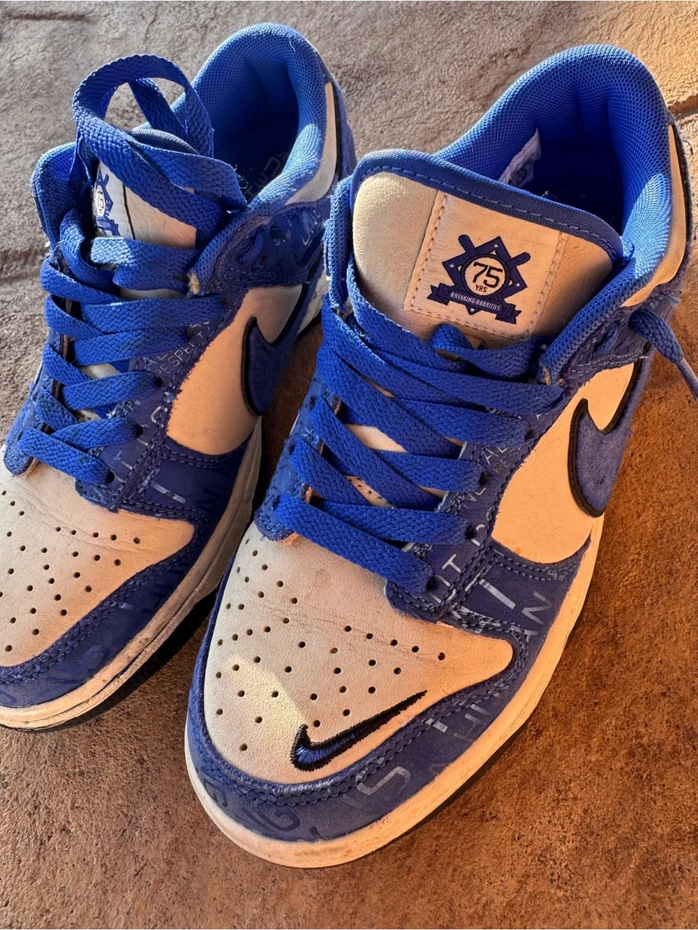 Nike dunk low